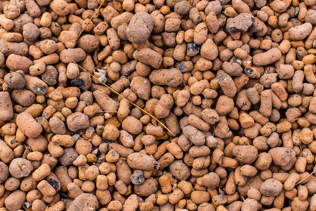 Arlita o arcilla expandida para plantas: qué es y cómo usarla