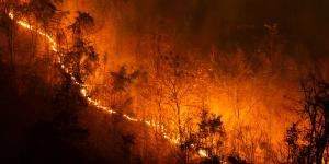 Incendios de sexta generación o megaincendios: qué son y por qué son tan peligrosos