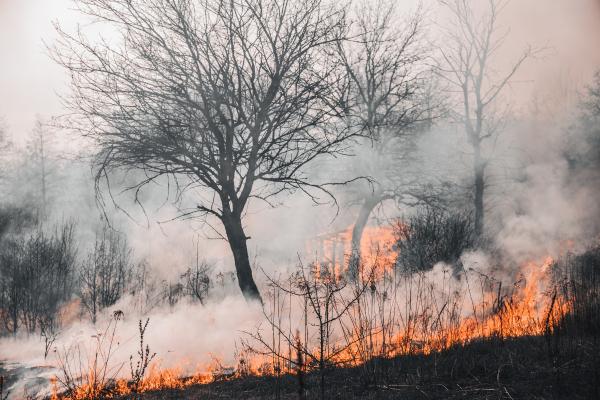 Incendios de sexta generación o megaincendios: qué son y por qué son tan peligrosos - ¿Por qué los incendios de sexta generación son tan peligrosos?