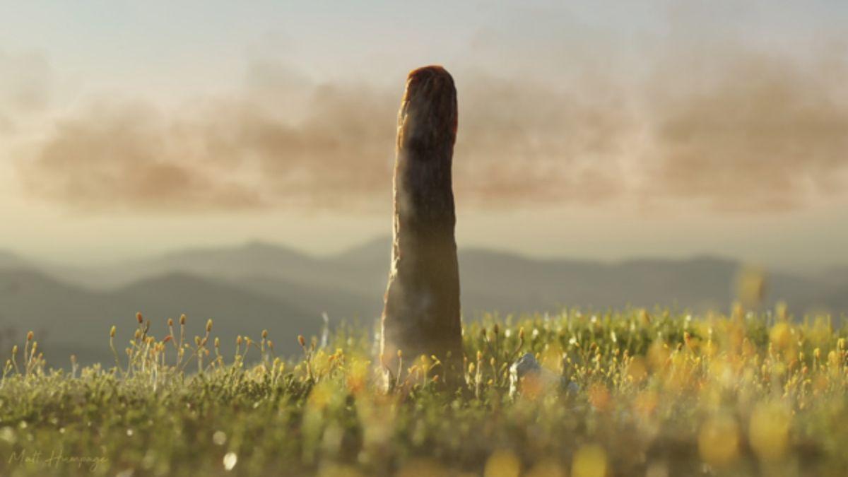 El enigma resuelto tras 150 años: así era la extraña forma de vida gigante que habitó la Tierra