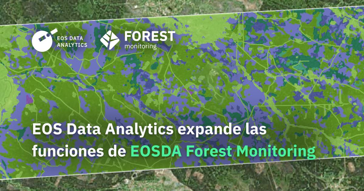 EOS Data Analytics Mejora Su Solución EOSDA Forest Monitoring Para Promover Aún Más Una Gestión Forestal Sostenible