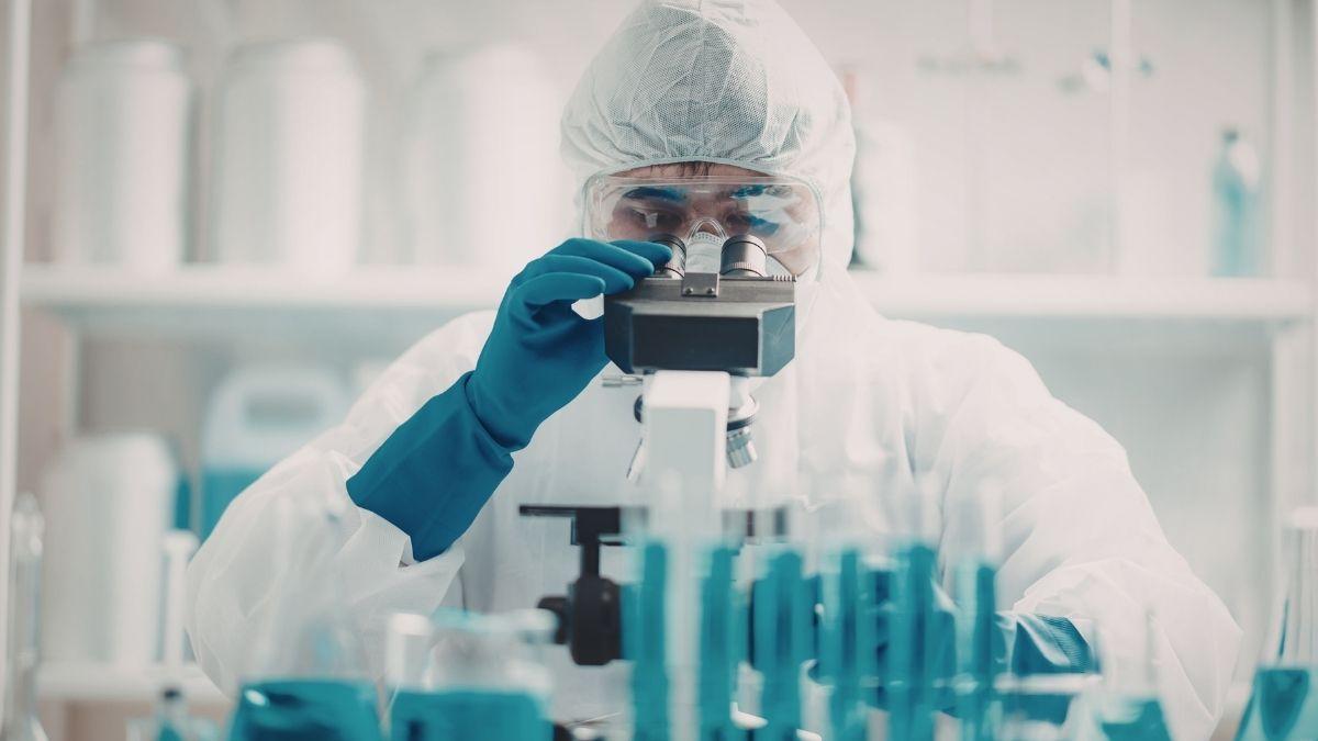 Científicos logran revivir la actividad en el cerebro de un ratón congelado a −196 °C por primera vez