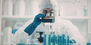 Científicos logran revivir la actividad en el cerebro de un ratón congelado a −196 °C por primera vez