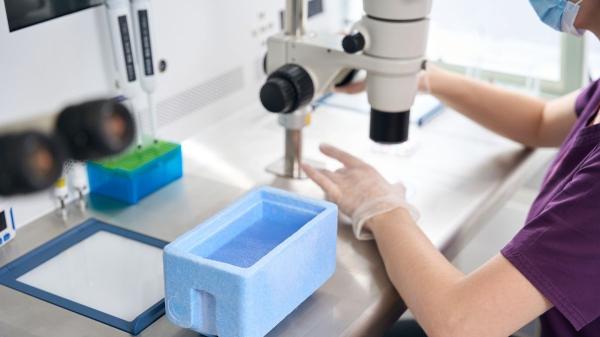 Científicos logran revivir la actividad en el cerebro de un ratón congelado a −196 °C por primera vez - El experimento que logró “despertar” neuronas congeladas