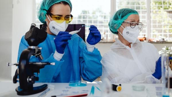 Científicos logran revivir la actividad en el cerebro de un ratón congelado a −196 °C por primera vez - Un avance real, pero aún lejos de “revivir” cerebros