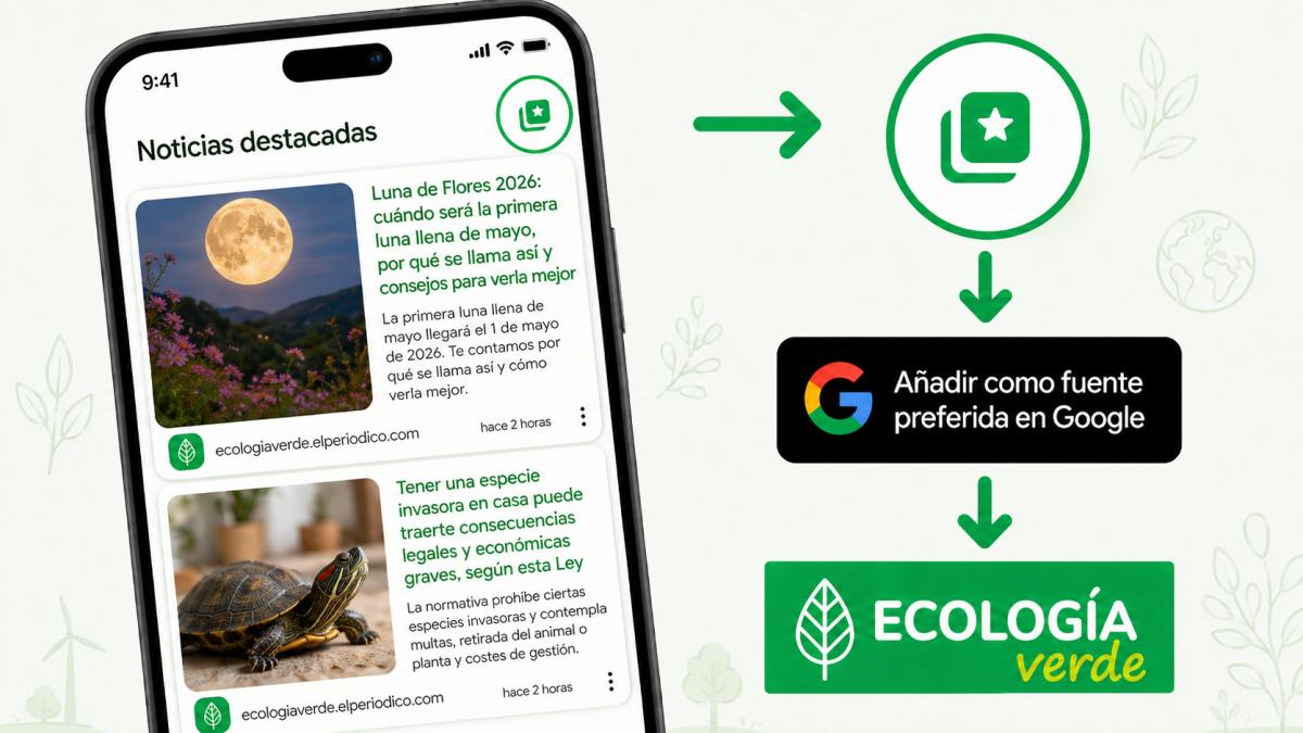 Google permite añadir Ecología Verde como fuente preferida en tus búsquedas