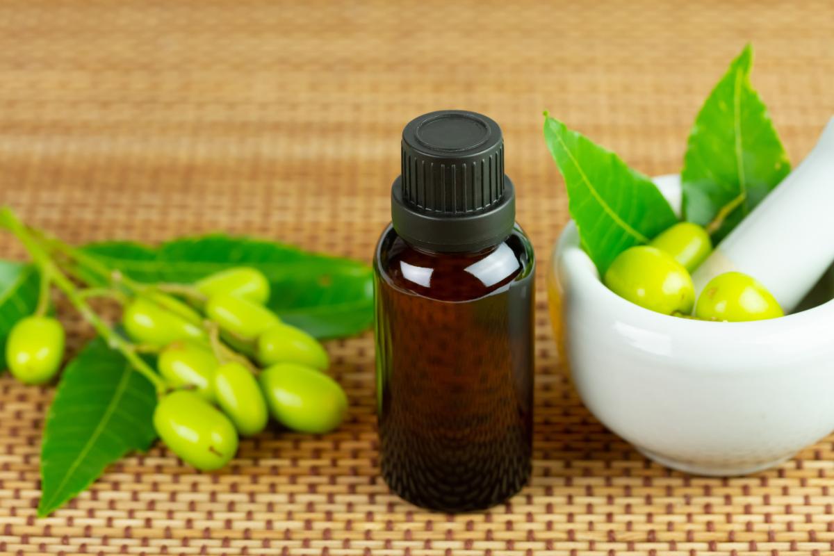 Aceite de neem y jabón potásico para las plantas: cómo hacerlo y usarlo