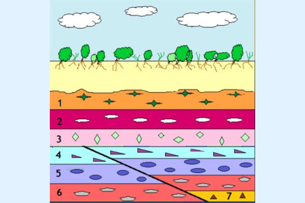 Corte geológico: qué es y para qué sirve - Para qué sirve un corte geológico