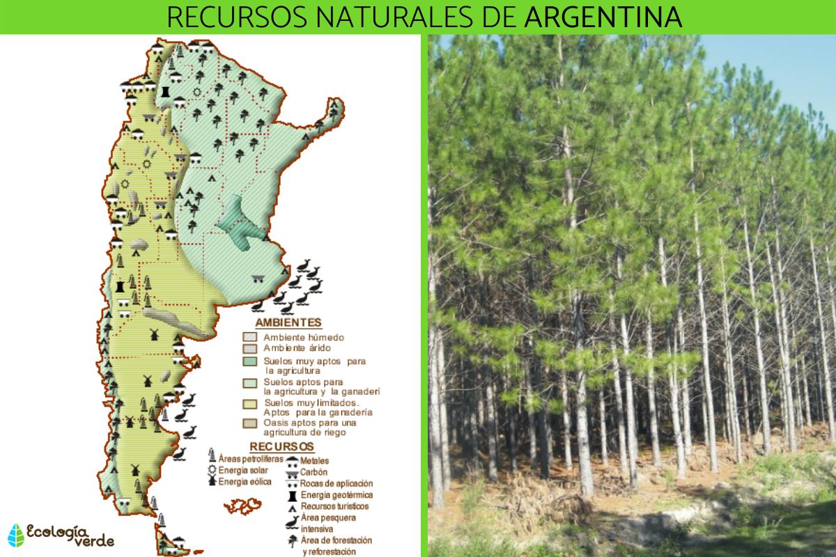 Recursos naturales en Argentina