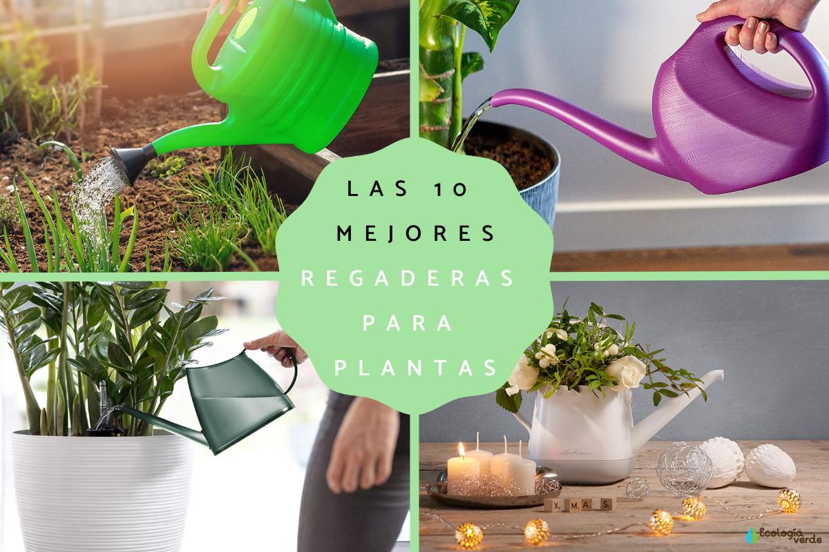 Las mejores regaderas para plantas