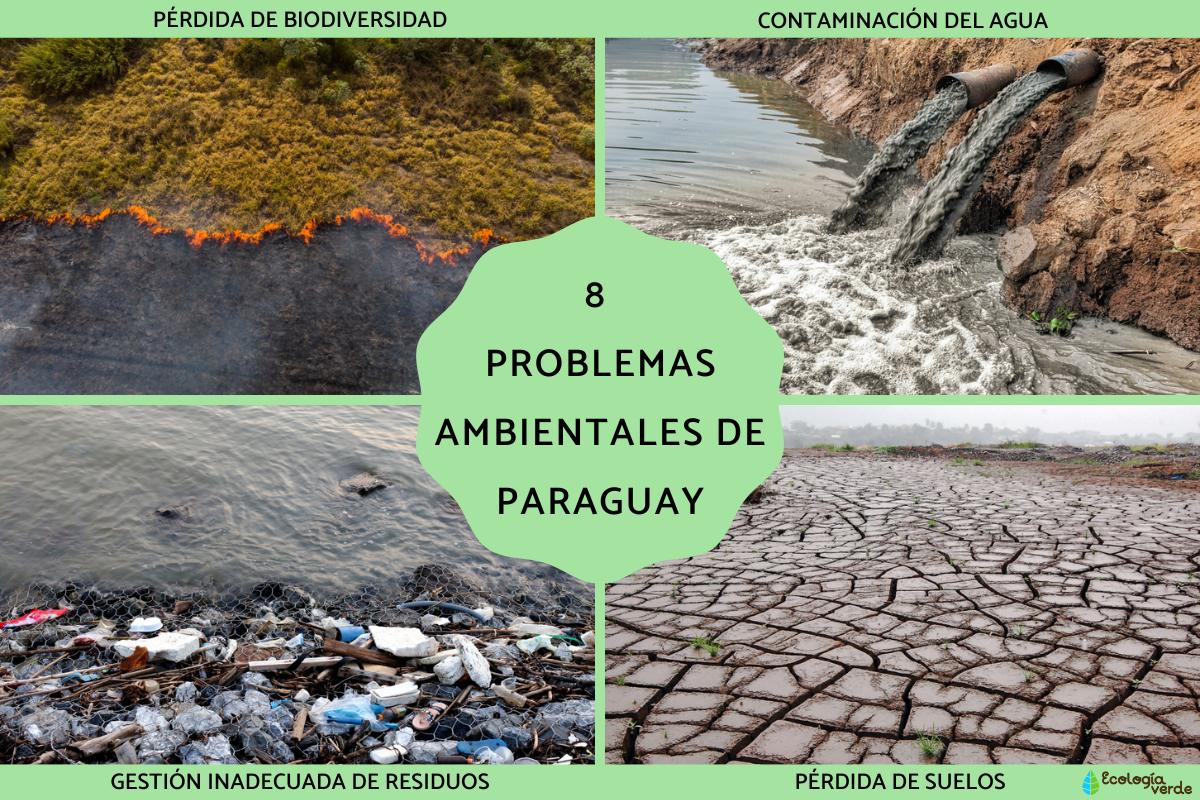 Problemas ambientales de Paraguay