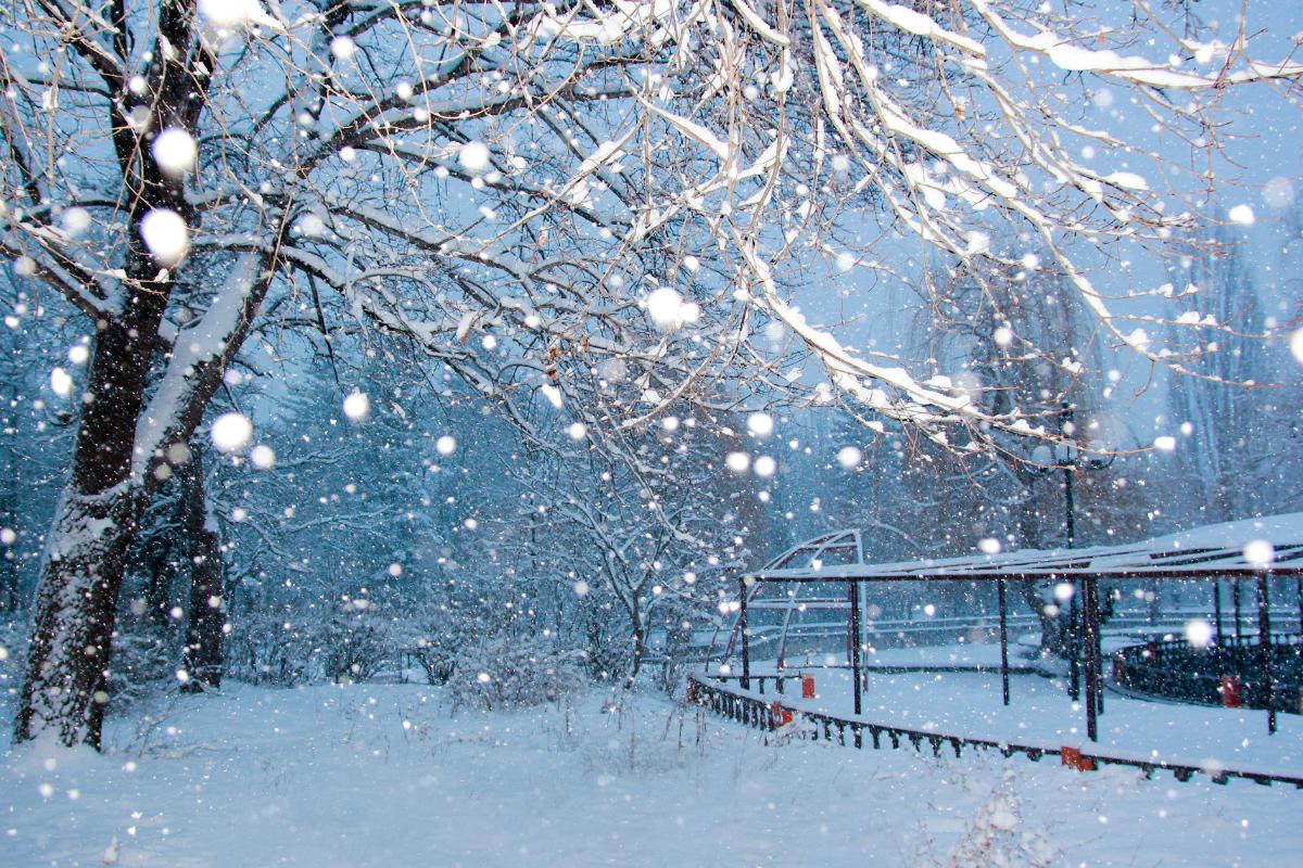 Nieve: qué es, cómo se forma y tipos