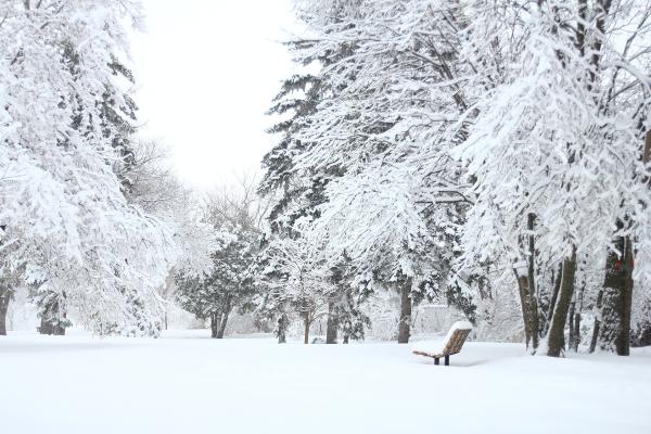 Nieve: qué es, cómo se forma y tipos - Qué es la nieve