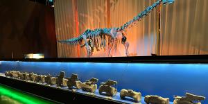 Hallan en Teruel el primer diplodocus fuera de Norteamérica: vivió hace 150 millones de años y medía hasta 25 metros