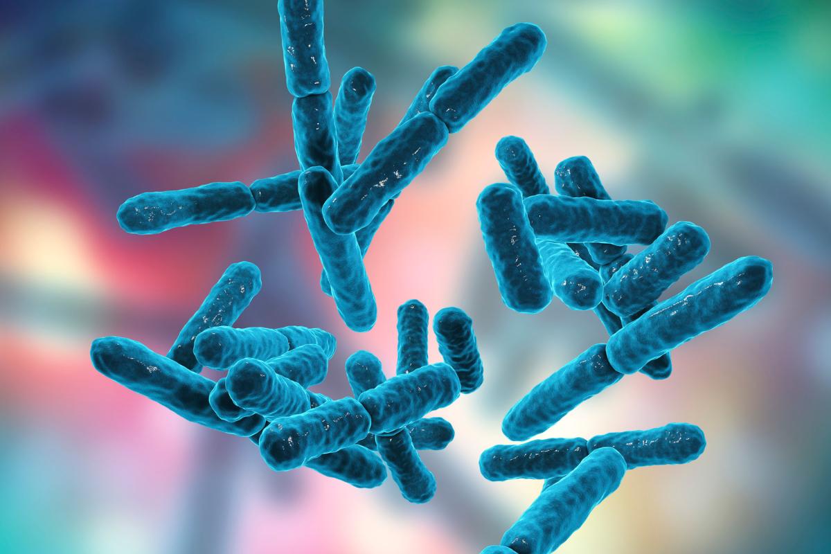 Archaea o arqueas: qué son, ejemplos y diferencia con las bacterias