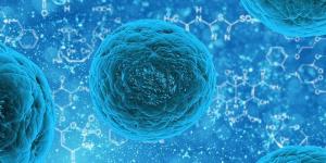 Célula: qué es, características, tipos y partes