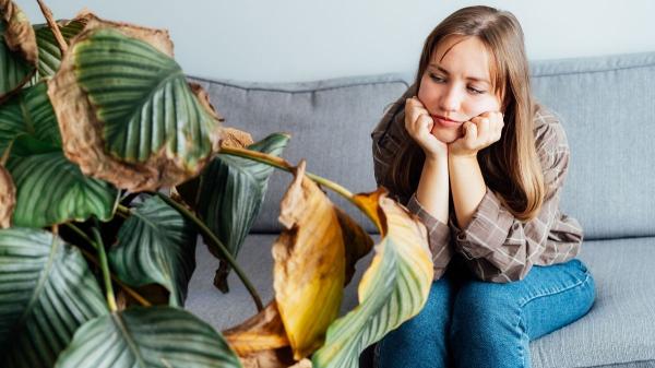 Ni como en invierno ni el doble: así debes regar tus plantas en primavera según Álvaro Pedrera, experto en plantas - El gran error: regar igual que en invierno