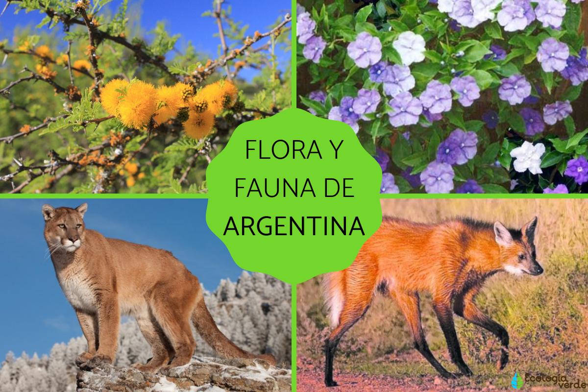 Flora y fauna de Argentina
