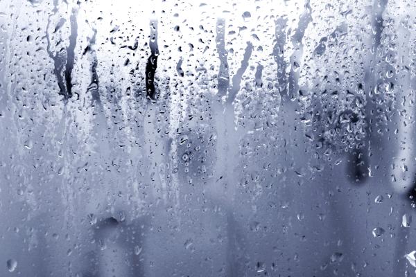 Humedad relativa y absoluta: qué son y diferencia - Qué es la humedad absoluta