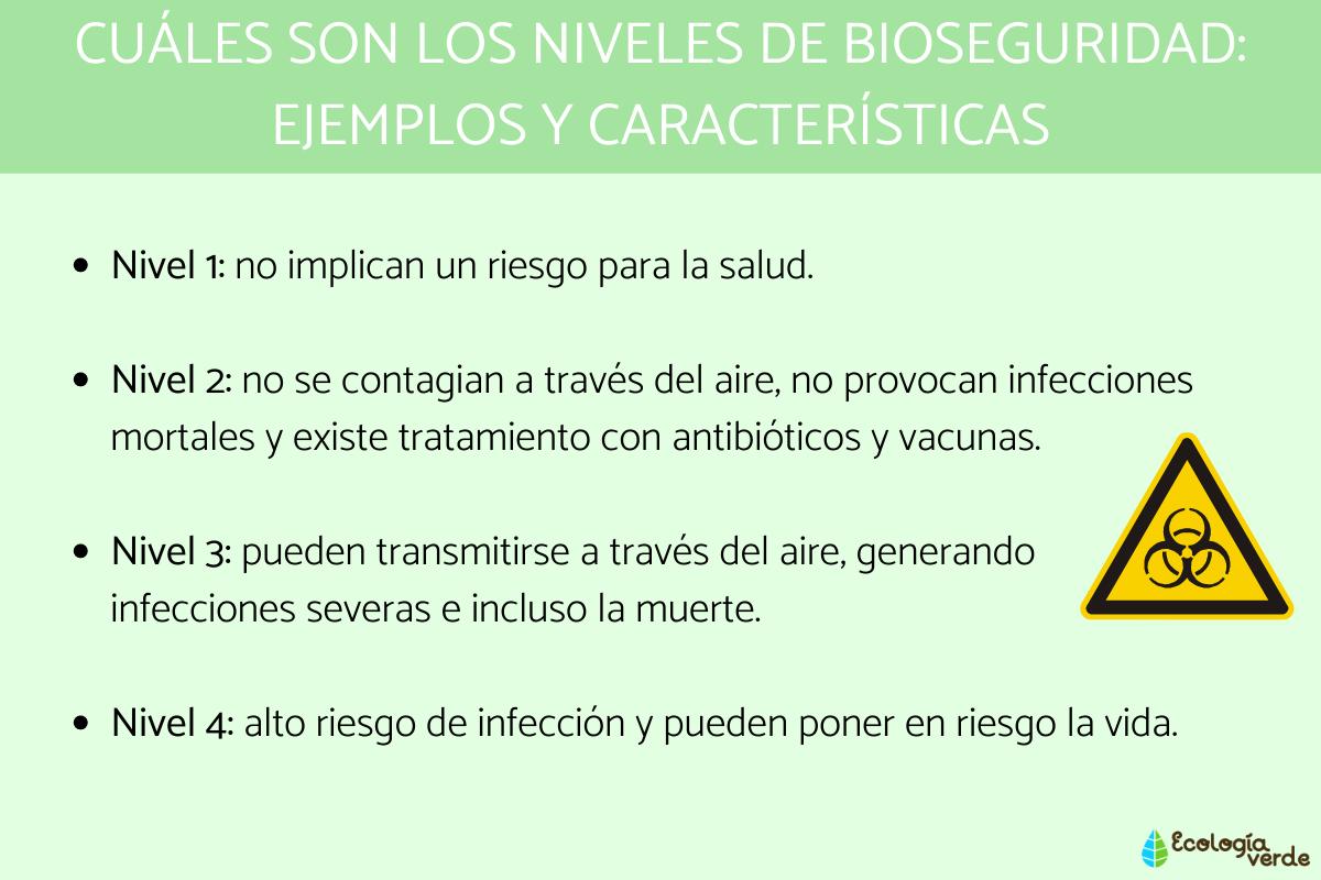 Cuáles son los niveles de bioseguridad: ejemplos y características
