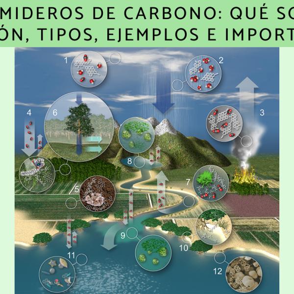 informacion sobre sumideros