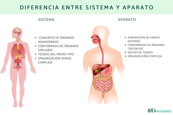 Diferencia entre sistema y aparato