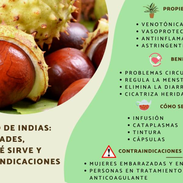 Semilla De Castaño De Indias Te. Semilla De Castaño De Indias, Te O