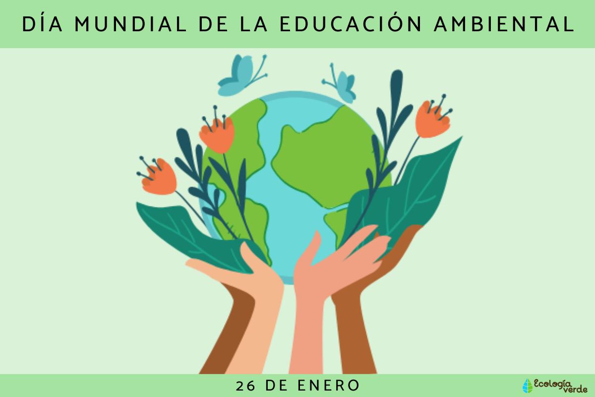 Día Mundial de la Educación Ambiental: cuándo es, por qué se celebra y frases