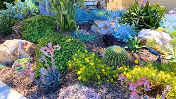 Adiós al césped artificial: siete alternativas elegantes, resistentes y de bajo mantenimiento que triunfan en terrazas y jardines este 2026 - Jardines secos y paisajismo mediterráneo