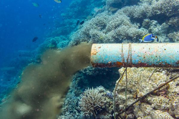 Los residuos más contaminantes y difíciles de separar del agua - Antibióticos, fármacos y hormonas