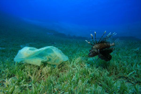 Los residuos más contaminantes y difíciles de separar del agua - Compuestos orgánicos