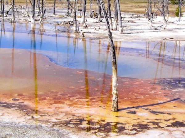 Los residuos más contaminantes y difíciles de separar del agua - Cuáles son los residuos más contaminantes y difíciles de separar del agua - lista