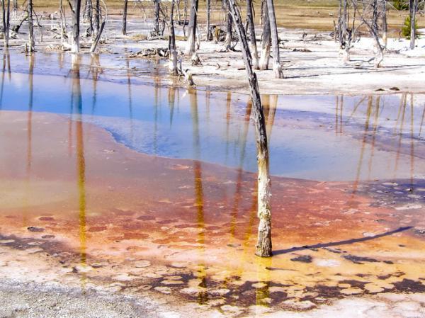 Los residuos más contaminantes y difíciles de separar del agua - Cuáles son los residuos más contaminantes y difíciles de separar del agua - lista