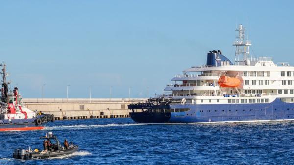 ¿Puede nadar el ratón colilargo hasta Canarias desde el MV Hondius? Esto es lo que dice Sanidad - Esto es lo que dice Sanidad sobre el riesgo en Canarias