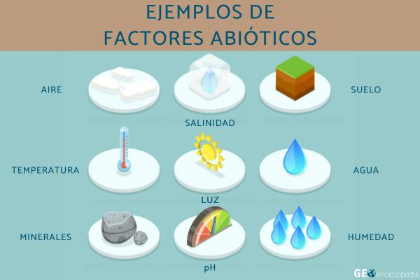 Factores abióticos: qué son, características y ejemplos - Ejemplos de los factores abióticos