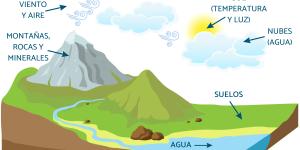 Factores abióticos: qué son, características y ejemplos