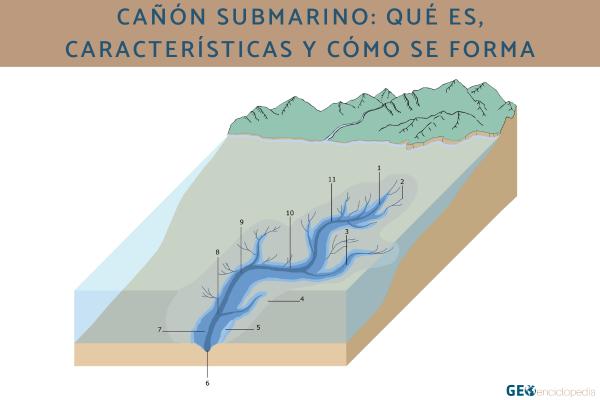 Cañón submarino: qué es, características y cómo se forma