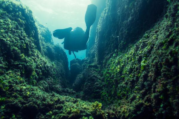 Cañón submarino: qué es, características y cómo se forma - Cómo se forma un cañón submarino