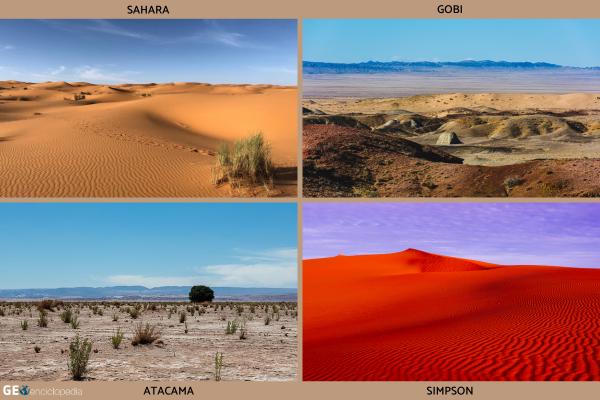 Clima desértico: qué es, características, temperatura, flora y fauna - Desiertos del mundo