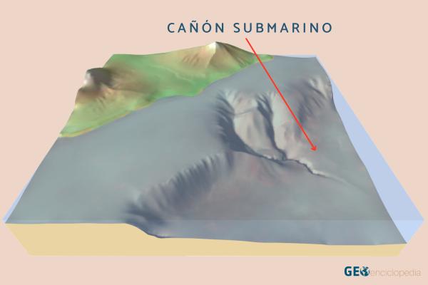 Cañón submarino: qué es, características y cómo se forma - Qué es un cañón submarino
