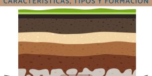 Rocas madres: qué son, características, tipos y formación