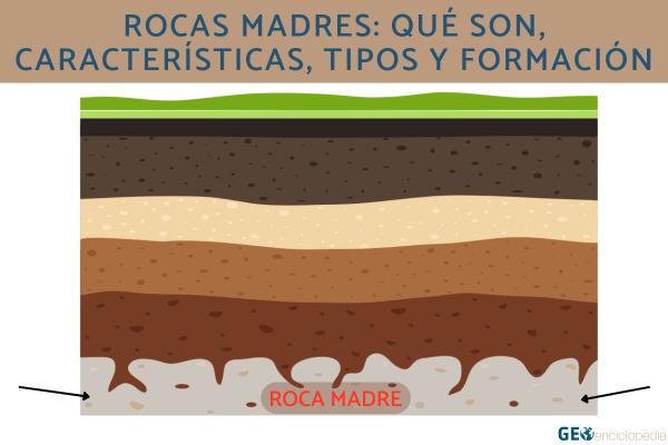 Rocas madres: qué son, características, tipos y formación