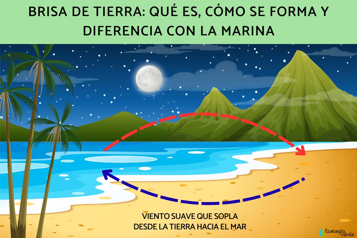 Brisa de tierra: qué es, cómo se forma y diferencia con la marina