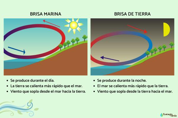 Brisa de tierra: qué es, cómo se forma y diferencia con la marina - ¿Cuál es la diferencia entre la brisa de tierra y la marina?