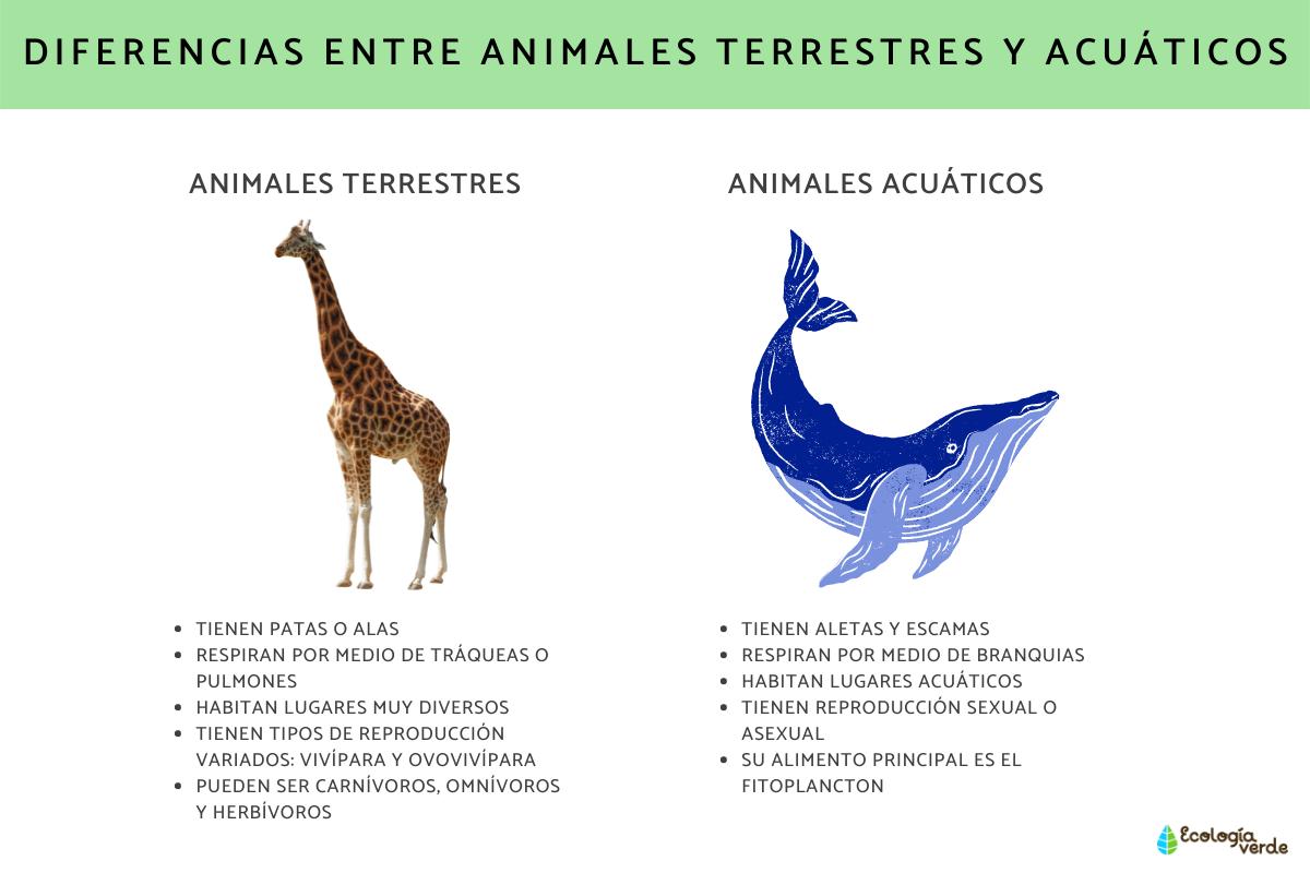 Diferencias entre animales acuáticos y terrestres
