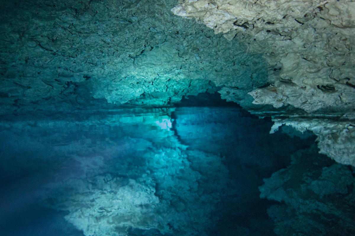 Haloclina: qué es, dónde se encuentra y tipos