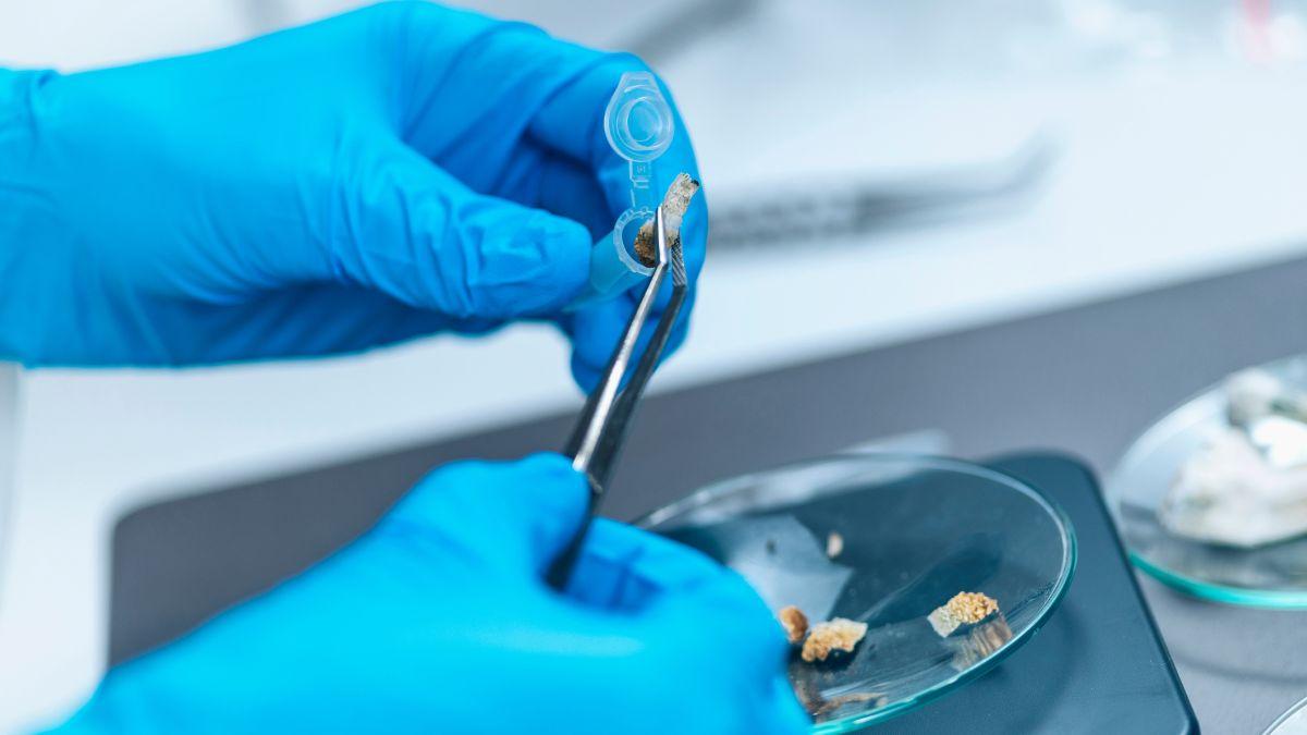 Investigadores de Illinois desarrollan una molécula para recuperar oro y otros metales de residuos electrónicos usando hasta 100 veces menos productos químicos