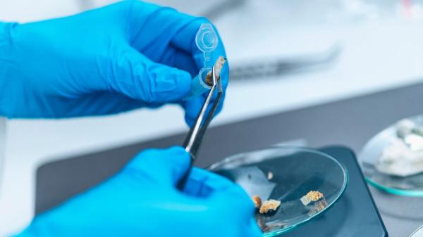 Investigadores de Illinois desarrollan una molécula para recuperar oro y otros metales de residuos electrónicos usando hasta 100 veces menos productos químicos