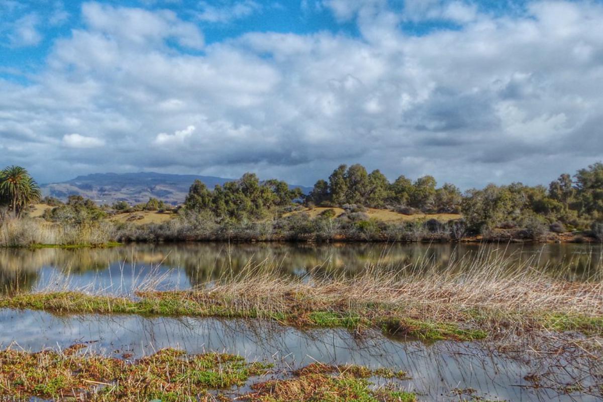 Aguas salobres: definición y ejemplos