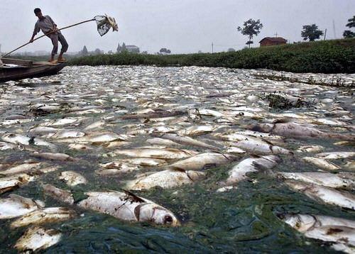 Citarum, el río más contaminado del mundo - Dónde es el río Citarum